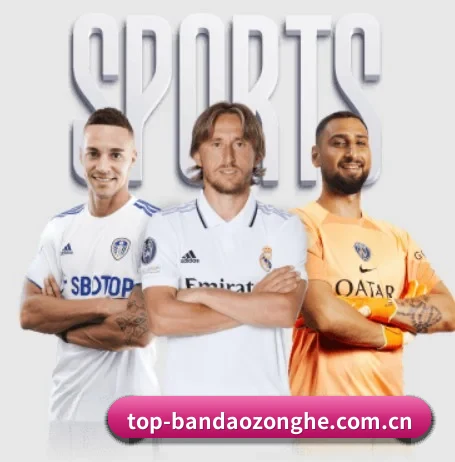 半岛综合的故事